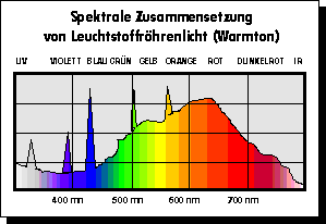 Spektrale Zusammensetzung von Leuchtstofflampen-Licht