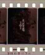35 mm - Filmstreifen mit Randnummer